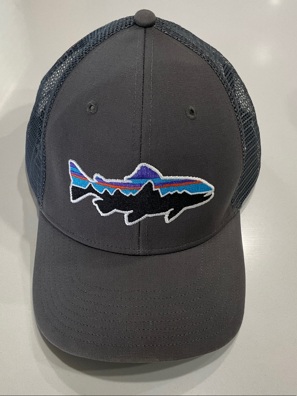Patagonia Fitz Roy Trucker Hat with Multicolor Trout Patch STY38008FA16